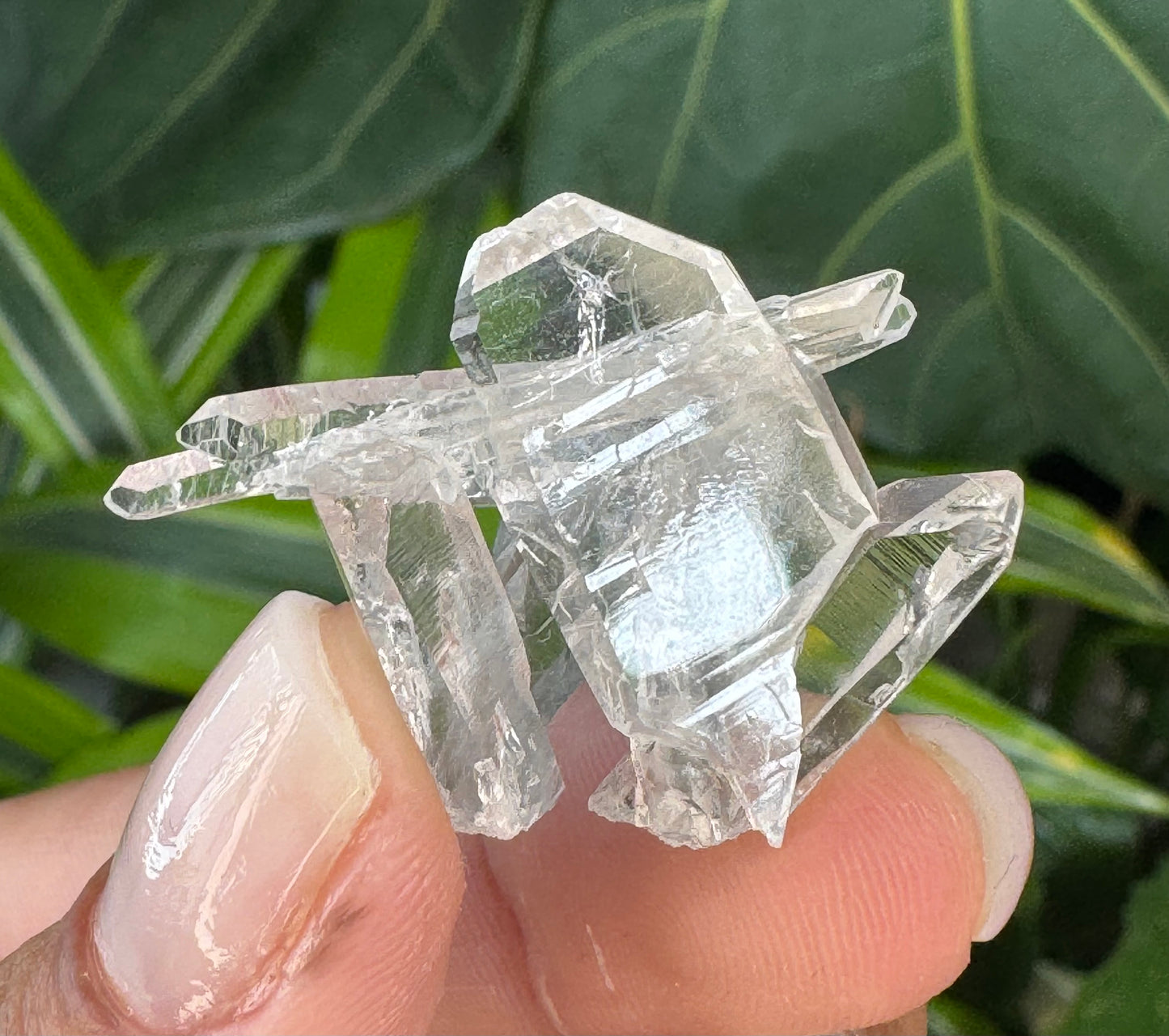Tabular Quartz w/ Tourmaline inclusions - Diamantina, Minas Gerais, Brazil