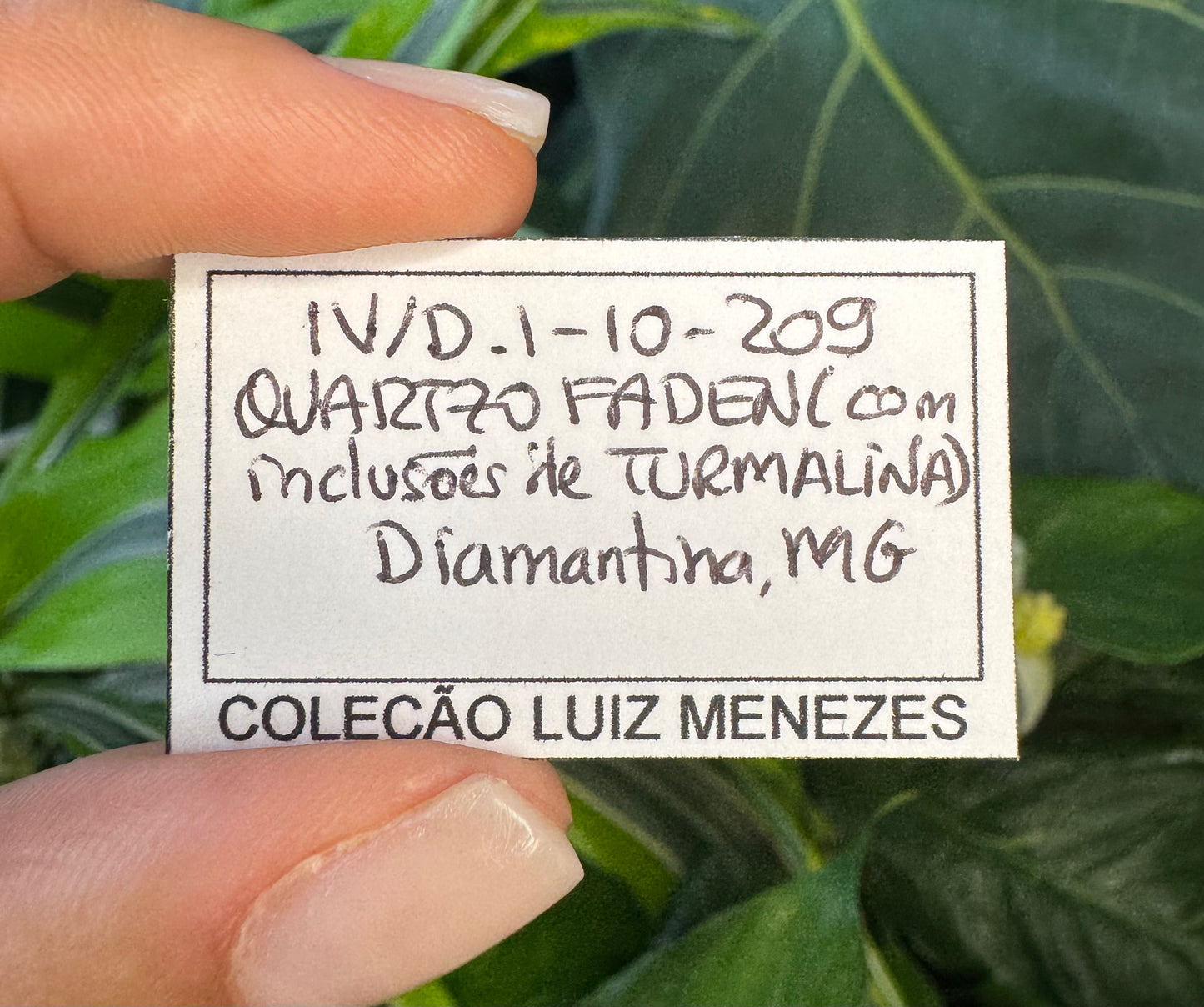 Tabular Quartz w/ Tourmaline inclusions - Diamantina, Minas Gerais, Brazil
