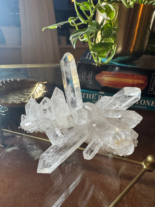 Rare Cabassaco Lemurian Quartz cluster -  Cabassaco Claim, Diamantina, Minas Gerais, Brazil