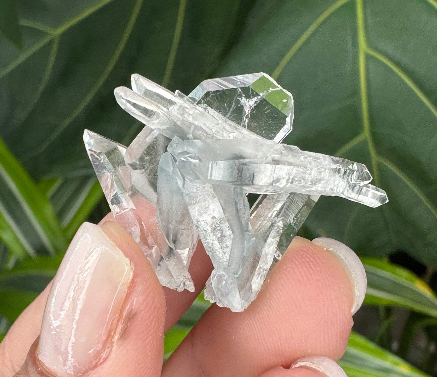 Tabular Quartz w/ Tourmaline inclusions - Diamantina, Minas Gerais, Brazil