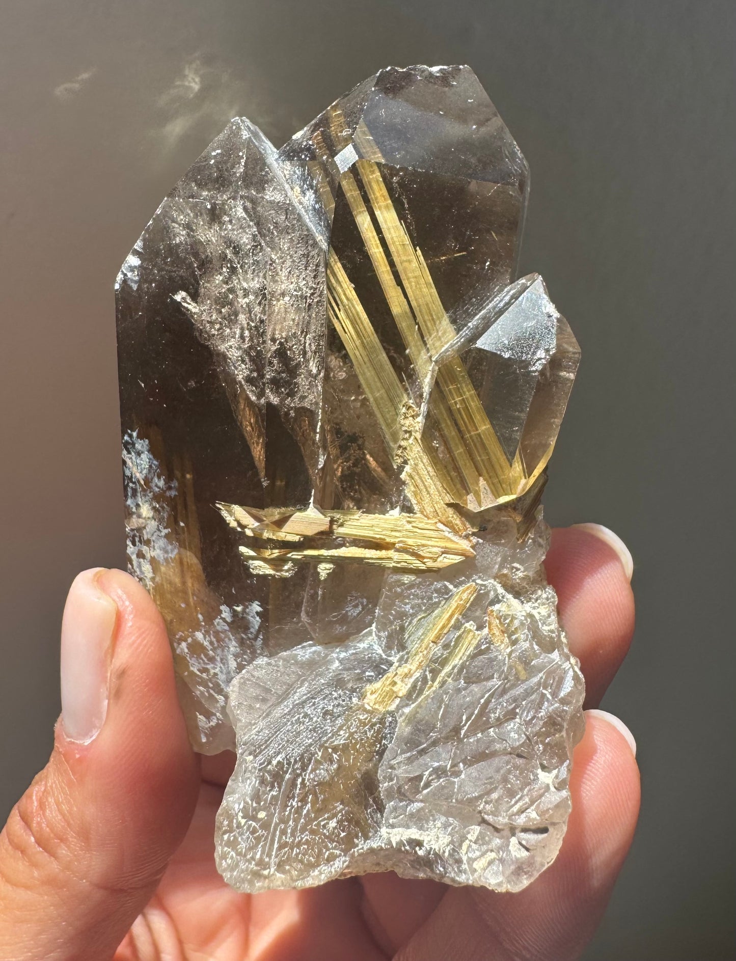 Star Rutile in Quartz - Novo Horizonte, Bahia, Brazil