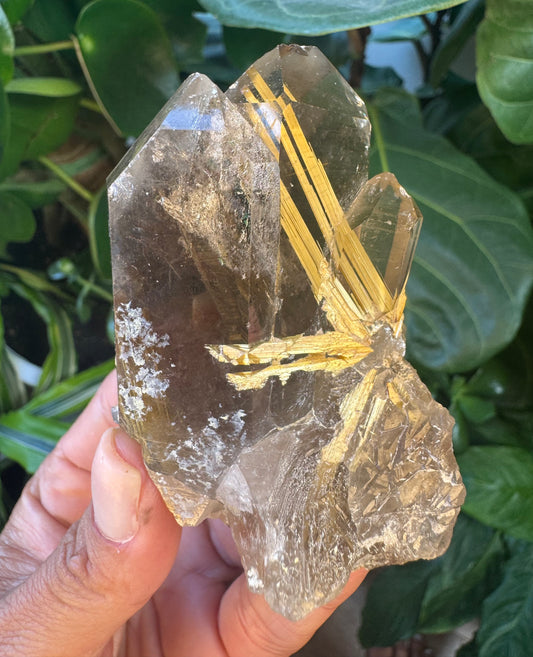 Star Rutile in Quartz - Novo Horizonte, Bahia, Brazil