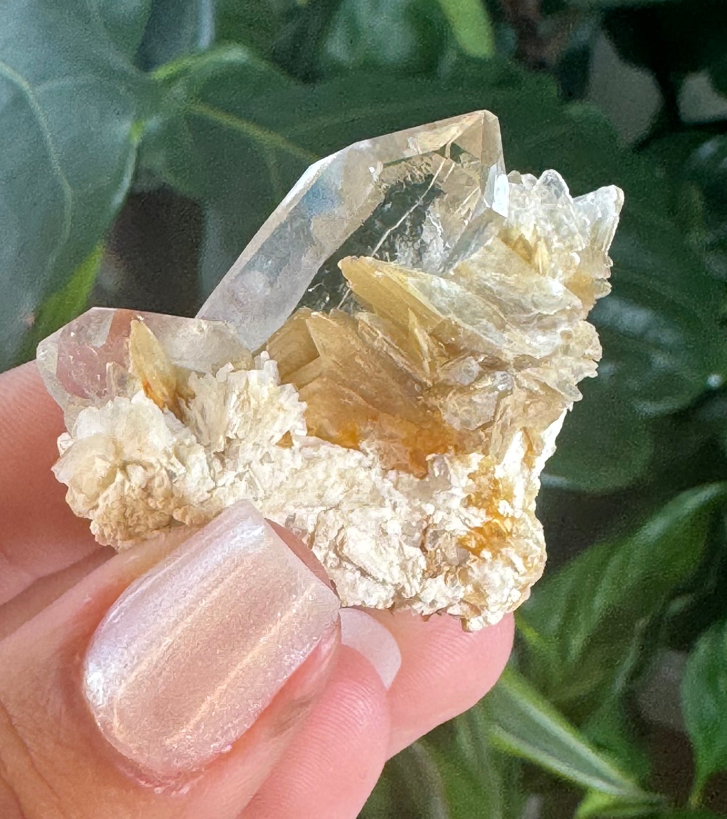 Star Muscovite on Quartz - Jenipapo, Minas Gerais, Brazil