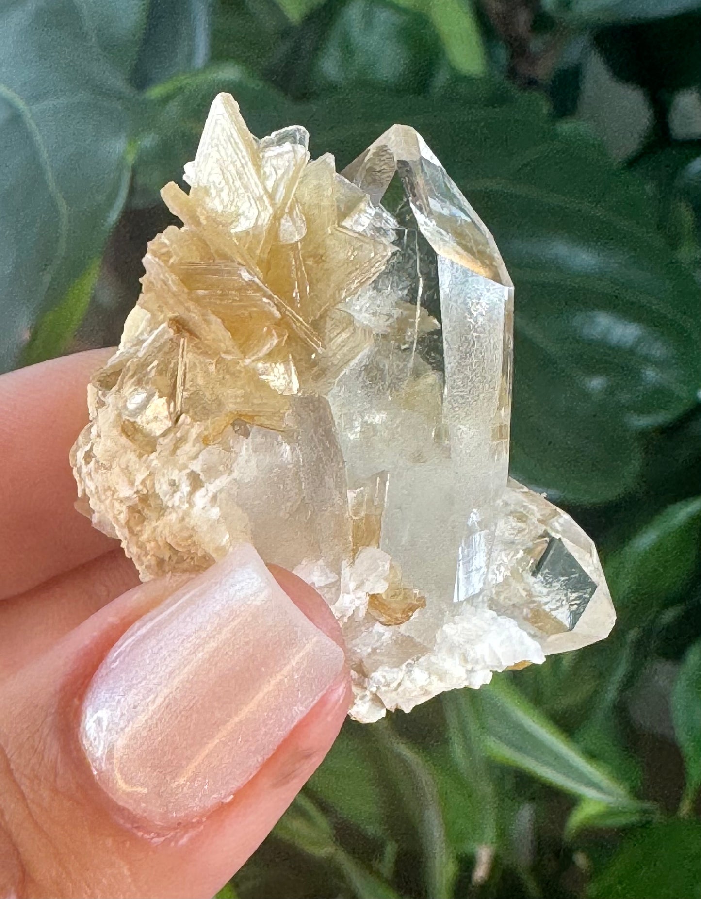 Star Muscovite on Quartz - Jenipapo, Minas Gerais, Brazil