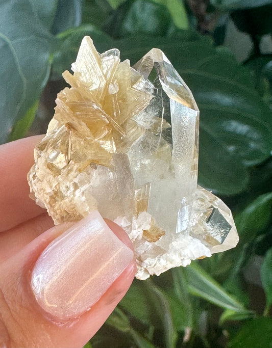 Star Muscovite on Quartz - Jenipapo, Minas Gerais, Brazil