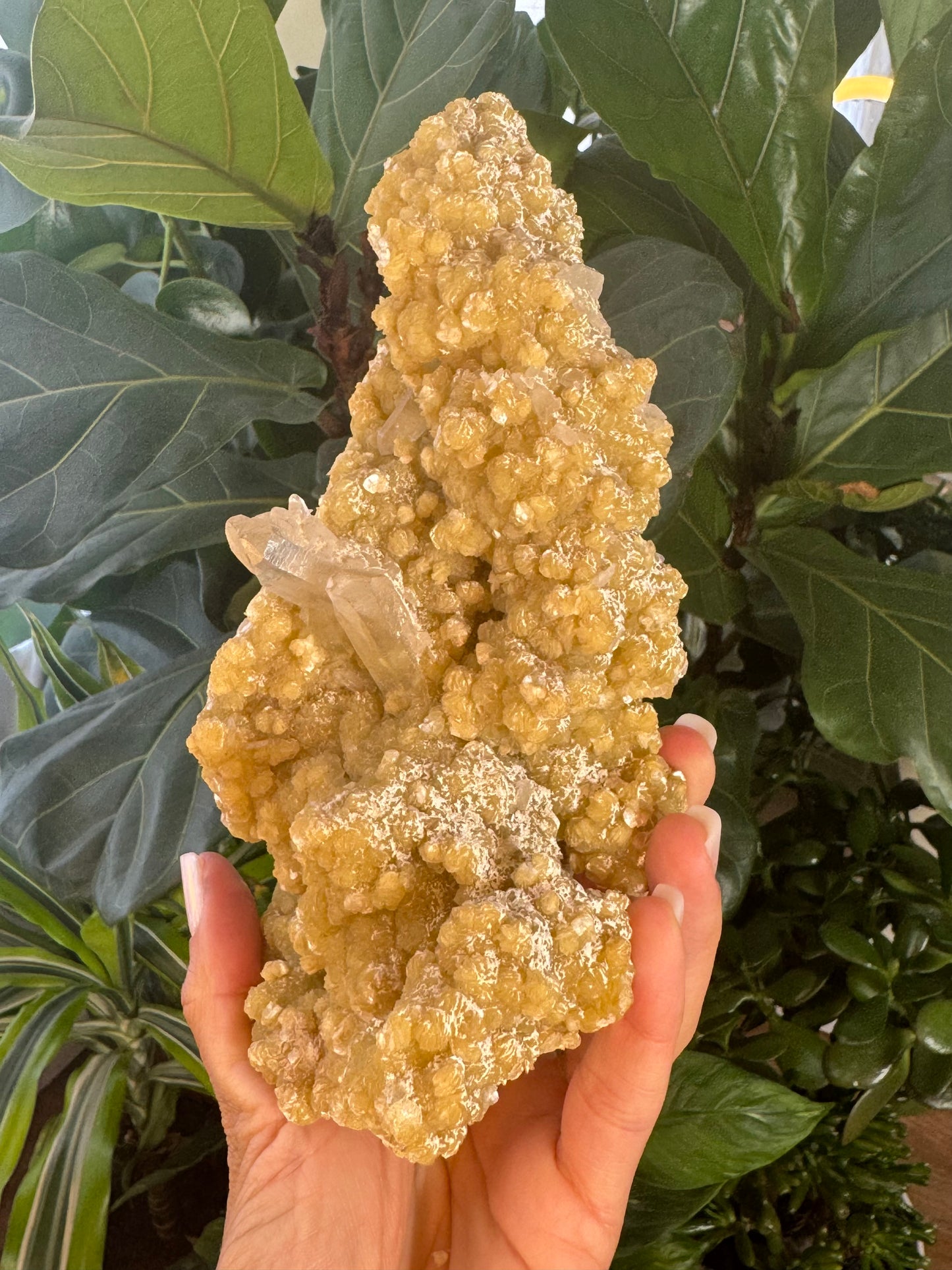 Quartz and Muscovite - Galileia, Minas Gerais, Brazil