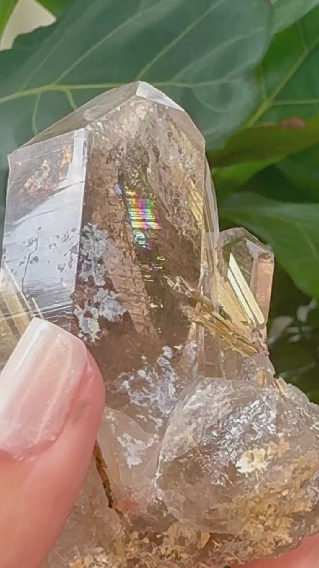Star Rutile in Quartz - Novo Horizonte, Bahia, Brazil
