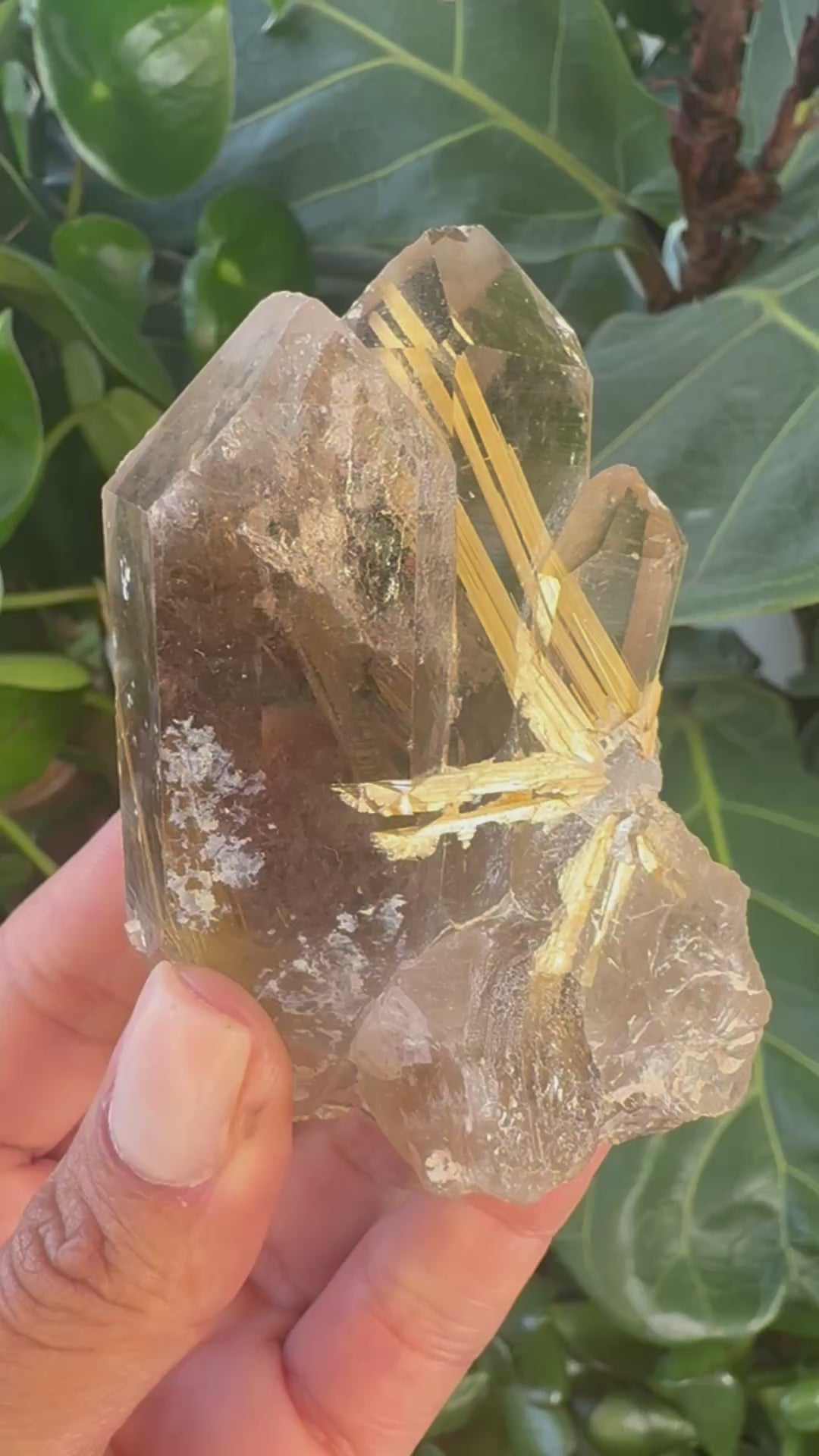 Star Rutile in Quartz - Novo Horizonte, Bahia, Brazil